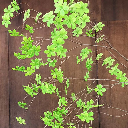 品牌設計作品案例展示