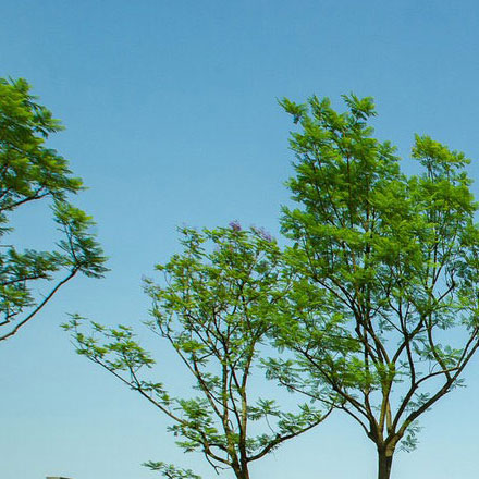 宿遷公司標(biāo)識標(biāo)牌設(shè)計招標(biāo)