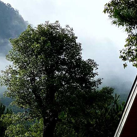 企業標識導視牌