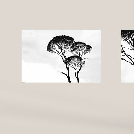 城市環(huán)境作品案例展示