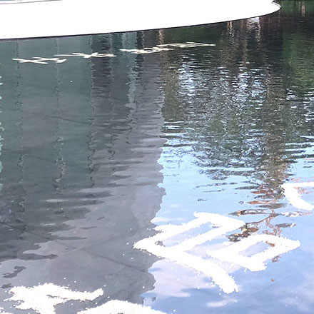 樹的標(biāo)識牌設(shè)計(jì):植物種類的標(biāo)志